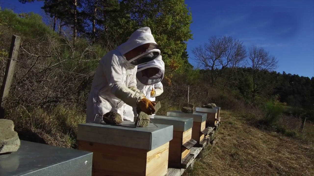 Fête de l'Abeille & de la Biodiversité